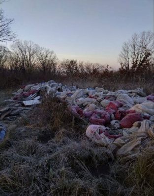 Сотрудники подрядных организаций ежедневно убирают улицы Уссурийска